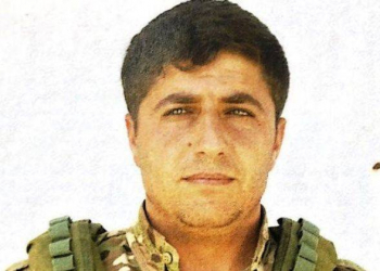 Suriyada PKK/YPG lideri zərərsizləşdirilib