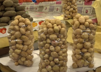 Kartof və soğanın qiyməti əl yandırır - Video
