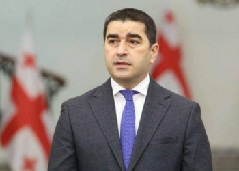 Gürcüstan parlamentinin sədri: “Heydər Əliyev xalqın ürəyini qazandı”