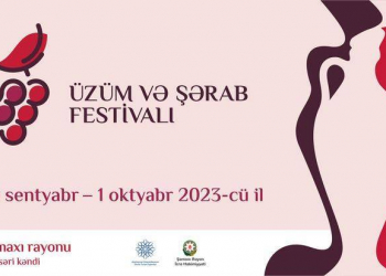 Şamaxı Üzüm və Şərab Festivalına hazırlaşır - Video