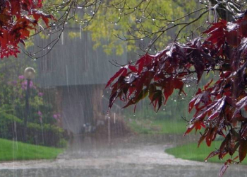 Bölgələrə yağış yağıb, Zaqatalaya dolu düşüb - Faktiki hava, Yenilənib