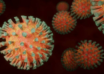 Fransada yeni koronavirus dalğası başlayıb