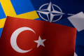 Türkiyə İsveç və Finlandiyanın NATO üzvlüyünə niyə mane olur?