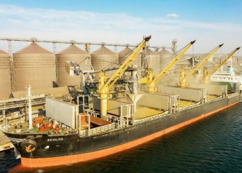 Ukrayna limanında 860 ton buğda daşıyan gəmi batdı