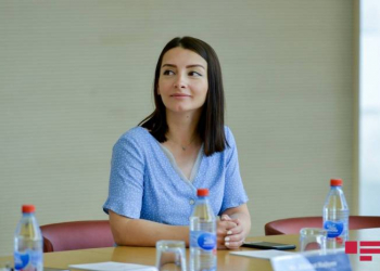 Leyla Abdullayeva Fransa parlamentinin deputatlarına səslənib